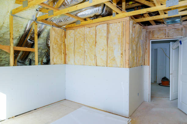 Best Specialized Insulation Services in Oskaloosa, IA