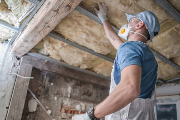 Best Fiberglass Insulation in Oskaloosa, IA