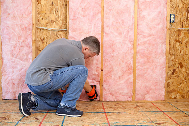 Best DIY Insulation Kits and Guidance in Oskaloosa, IA