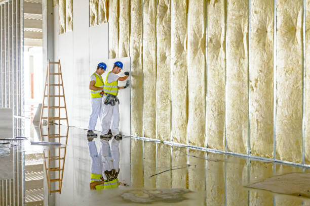 Best Spray Foam Insulation in Oskaloosa, IA